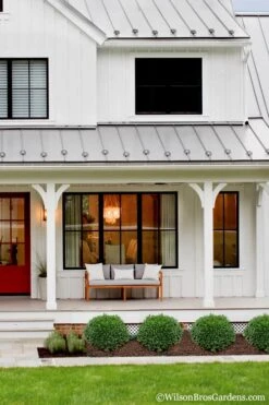 Korean Dwarf Boxwood - Buxus Sinica Var. Insularis 'Nana' - 6 Pack Of 1 Gallon Pots 11 Korean Dwarf Boxwood - Buxus Sinica Var. Insularis 'Nana' - 6 Pack Of 1 Gallon Pots -FloraHaven Shop Boxwood Korean Dwarf Insularis Nana 4