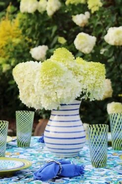 Limelight PeeGee Hydrangea - 7 Gallon Pot (3-4') 18 Limelight PeeGee Hydrangea - 7 Gallon Pot (3-4') -FloraHaven Shop Hydrangea Limelight 106