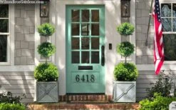 Green Mountain Boxwood 3-Ball Poodle Tier Topiary - 6 Gallon Pot -FloraHaven Shop buxus green mountain 3 ball topiary 20