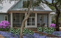 Snow Globe Gardenia - 3 Gallon Pot 13 Snow Globe Gardenia - 3 Gallon Pot -FloraHaven Shop gardenia jasminoides snow globe 2